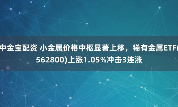 中金宝配资 小金属价格中枢显著上移，稀有金属ETF(562800)上涨1.05%冲击3连涨