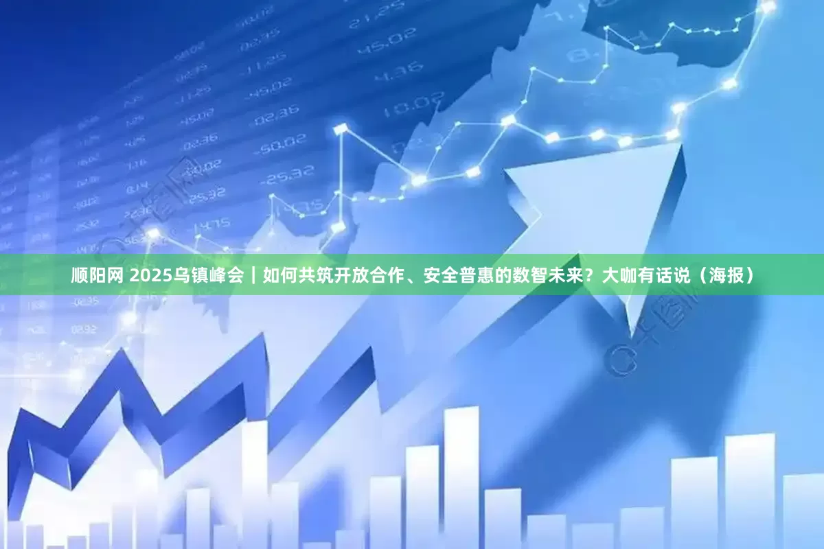 顺阳网 2025乌镇峰会|如何共筑开放合作、安全普惠的数智未来?大咖有话说(海报)