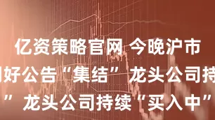 亿资策略官网 今晚沪市超20份利好公告“集结” 龙头公司持续“买入中”