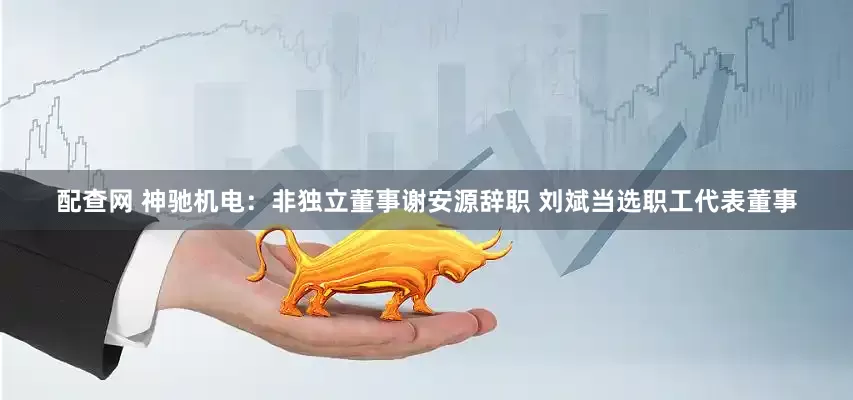 配查网 神驰机电：非独立董事谢安源辞职 刘斌当选职工代表董事