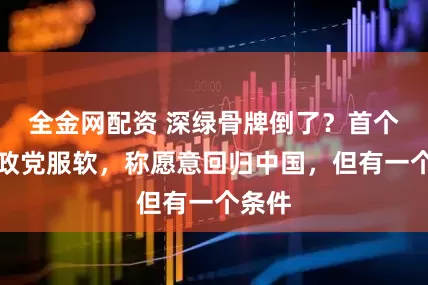 全金网配资 深绿骨牌倒了？首个台独政党服软，称愿意回归中国，但有一个条件